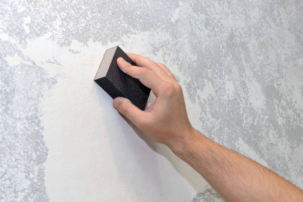 Tappan, NY Mold Removal Company