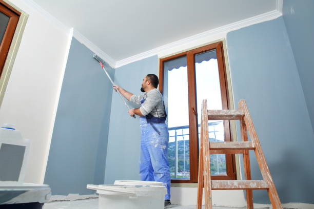 Best Mold Removal for HVAC Installations  in Tappan, NY