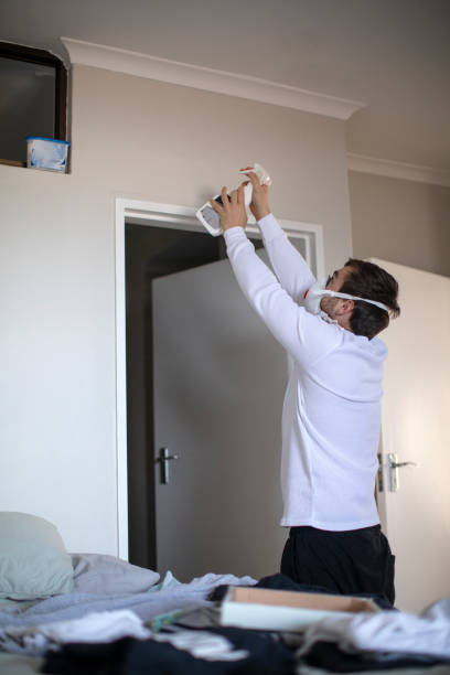 Best Environmental Consulting for Mold Prevention  in Tappan, NY