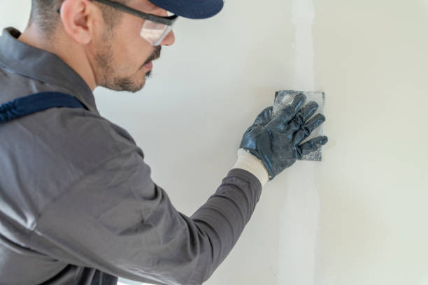 Best Real Estate Mold Inspection  in Tappan, NY