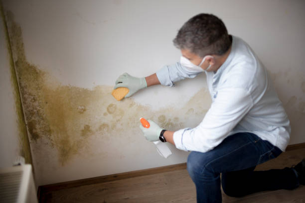 Mold Remediation for Rental Properties in Tappan, NY