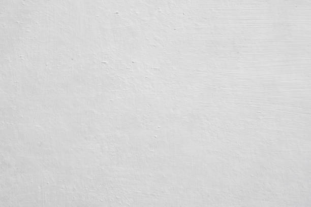 Best Black Mold Removal  in Tappan, NY