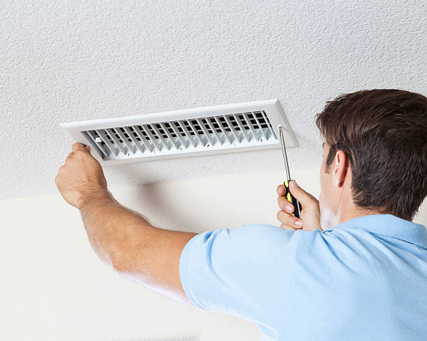 Best Basement Mold Removal  in Tappan, NY